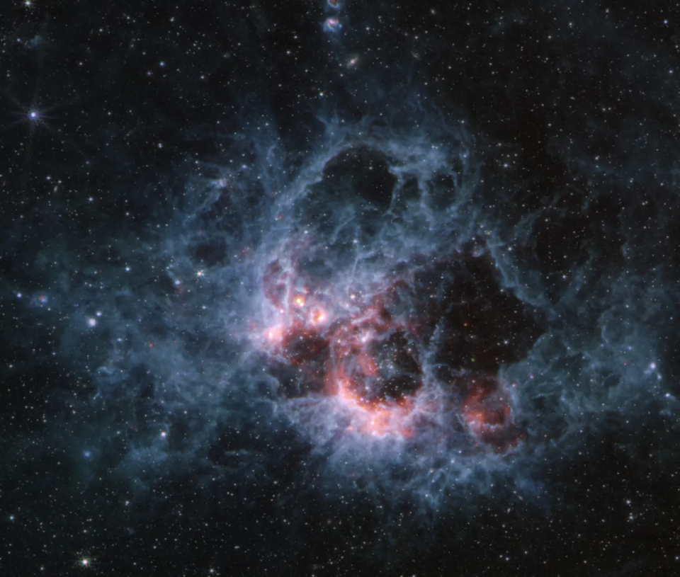 This image from NASA's James Webb Space Telescope's MIRI (Mid-Infrared Instrument) of star-forming region NGC 604 shows how large clouds of cooler gas and dust glow in mid-infrared wavelengths. This region is home to more than 200 of the hottest, most massive kinds of stars, all in the early stages of their lives. / Credit: NASA, ESA, CSA, STScI