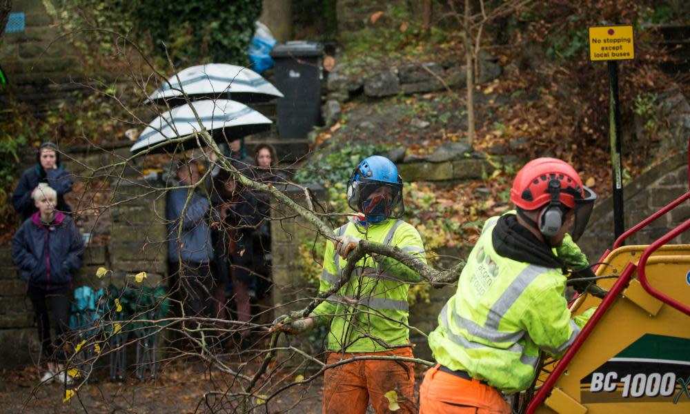 Members of the public look on as contractors cut down a tree in Rustlings Road, Sheffield.