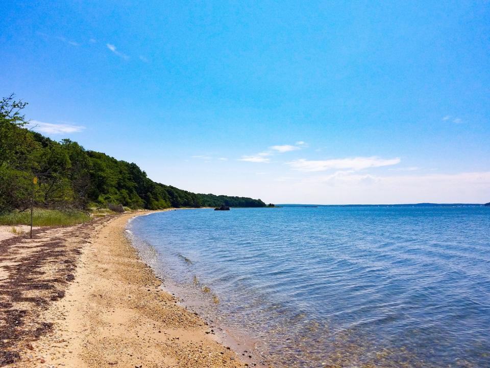 scenic view of sea against blue sky with curve of sandy beach and forest beyond