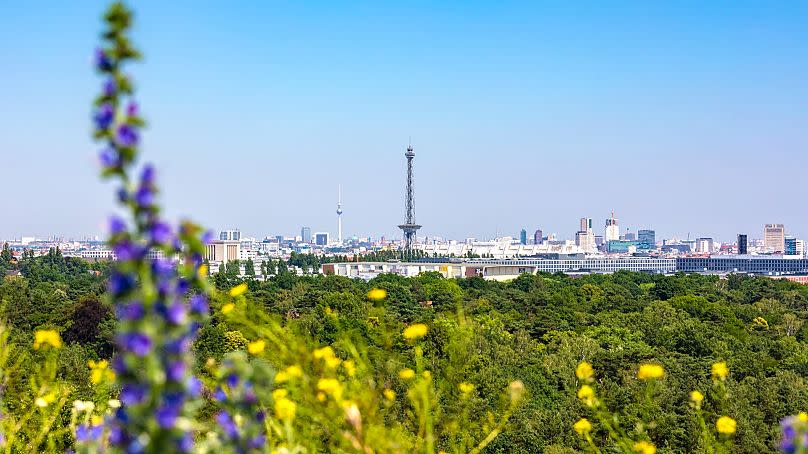 Grunewald is Berlin's largest green space.