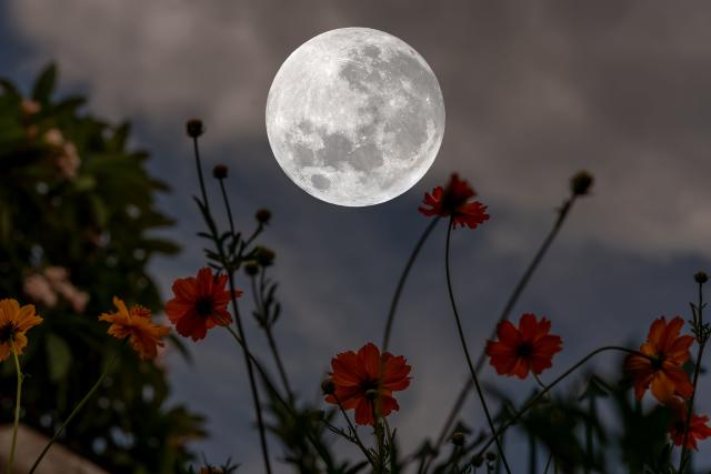 May's full flower moon will light up the sky this week