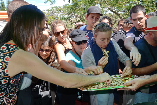 Locals and visitors sample the grubbed worm at the Bancoule Worm Festival. Photo: New Caledonia Tourism