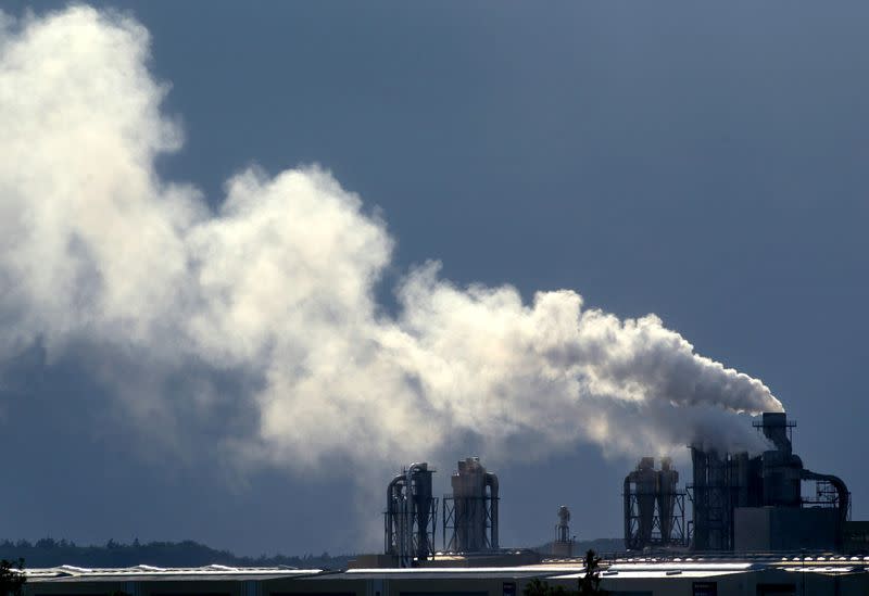 FILE PHOTO: A cloud of waste gas billows out of chimney stacks at a wood processing factory belonging to Switzer..