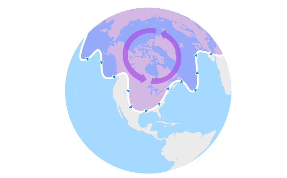 Polar vortex brings extreme cold