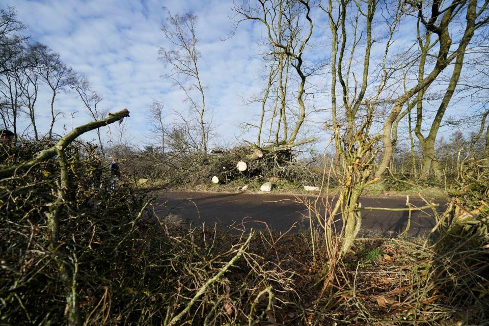 Fallen trees are seen on a road in Little Hay, north Birmingham, as Storm Dudley hits many areas across the UK. Storm Dudley is to be closely followed by Storm Eunice, which will bring strong winds and the possibility of snow on Friday. Picture date: Thursday February 17, 2022. (Photo by Jacob King/PA Images via Getty Images)