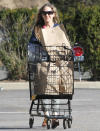 <p>Sarah Jessica Parker loads up on groceries on Friday in The Hamptons, New York.</p>