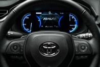 <p>2021 Toyota RAV4 Hybrid</p>