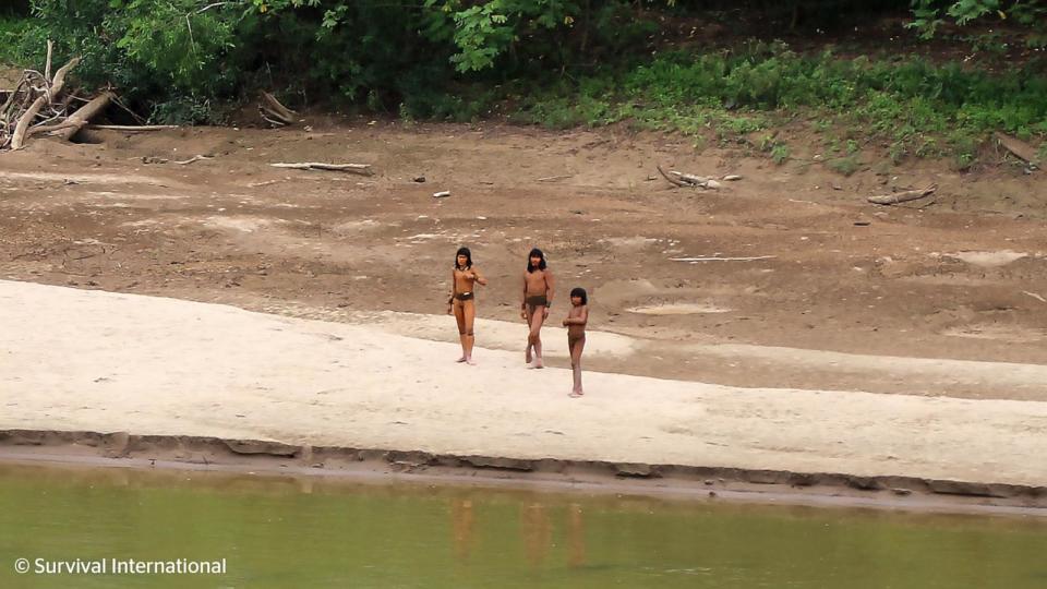 PHOTO: Dozens of uncontacted people deep in the Peruvian Amazon have been captured on camera just several miles from a number of logging areas, a human rights group said, and they are believed to be from the largest uncontacted tribe in the world. (Survival International)