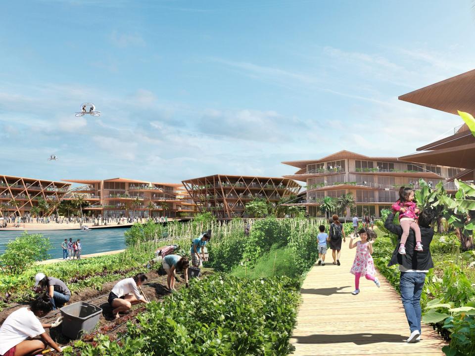 The platforms are designed with a low edge so that residents can have direct access to the water