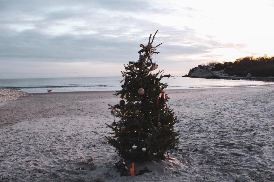 The Christmas tree brings plenty of happiness to the Surfer's End of Sachuest Beach in Middletown.