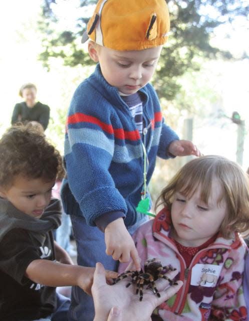 This archive photo shows kids interacting with creepy crawlies at Scary Oozy Slimy Day, which takes place at Sandy Creek Nature Center on Friday, Oct. 13, 2023.