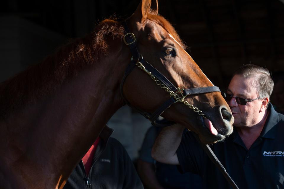 Trainer Eric Reed plants a kiss on the nose of Rich Strike the morning after the 80-1 longshot won the Kentucky Derby. backside at Churchill Downs. May 8, 2022