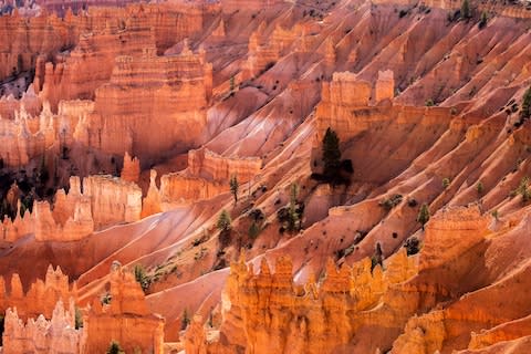 Another winner of the weekly Big Picture competition - from the Bryce Canyon National Park, Utah - Credit: Priit Einbaum