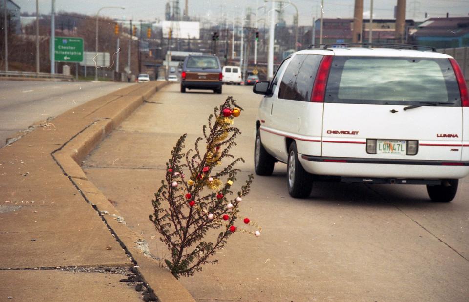 A 1993 photo of the original Claymont "Christmas Weed."