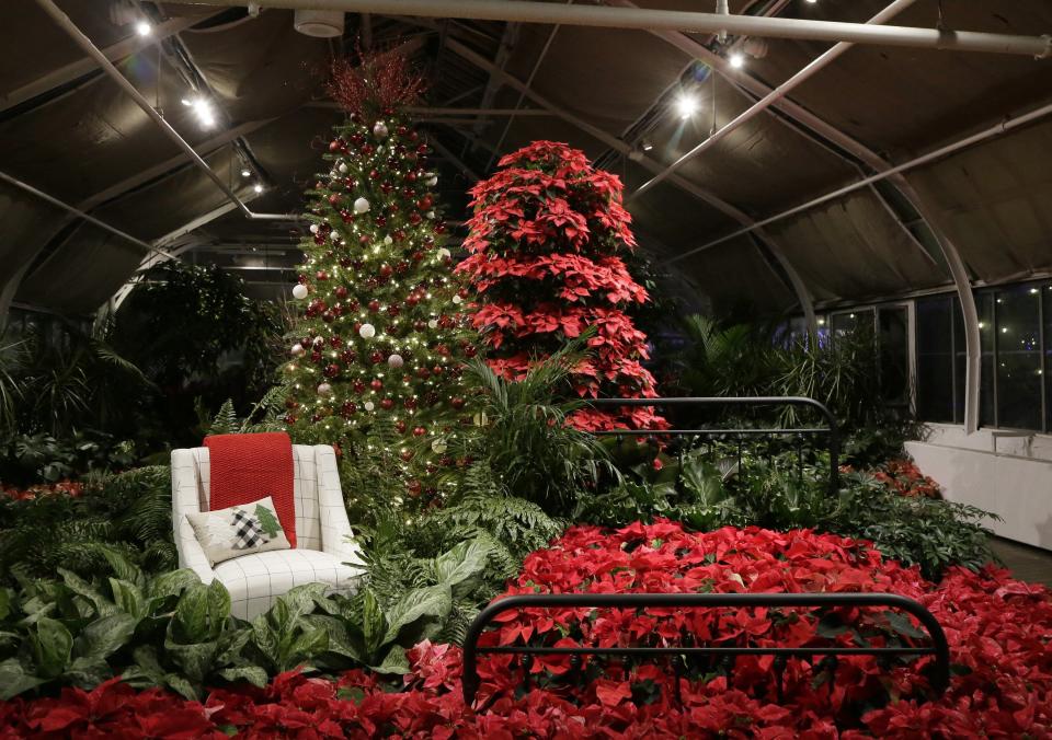 Don't miss a chance to see Holiday Blooms