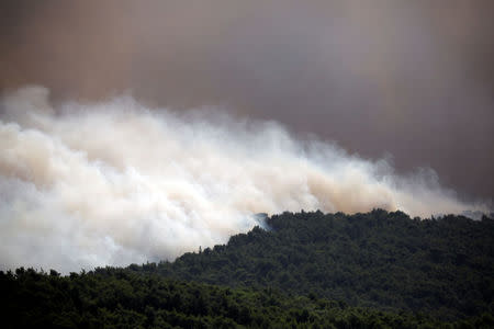 Smoke rises as a wildfire burns in Kineta, near Athens, Greece, July 23, 2018. REUTERS/Alkis Konstantinidis