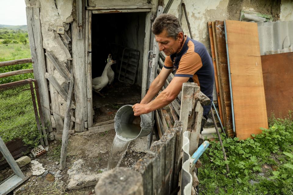 Mykola, 58, feeds the geese in Bohorodychne village, Donetsk region (EPA)