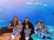 <p>Marjorie treated the grandkids to a private night at the aquarium, with Aunt Lori even joining the fun. </p> <p>"Had to shut down the Aquarium for my babies!! 💙💙🐠 <a href="https://www.instagram.com/explore/tags/covidsafe/" rel="nofollow noopener" target="_blank" data-ylk="slk:#covidsafe;elm:context_link;itc:0;sec:content-canvas" class="link ">#covidsafe</a>" the matriarch said of the adventure.</p>