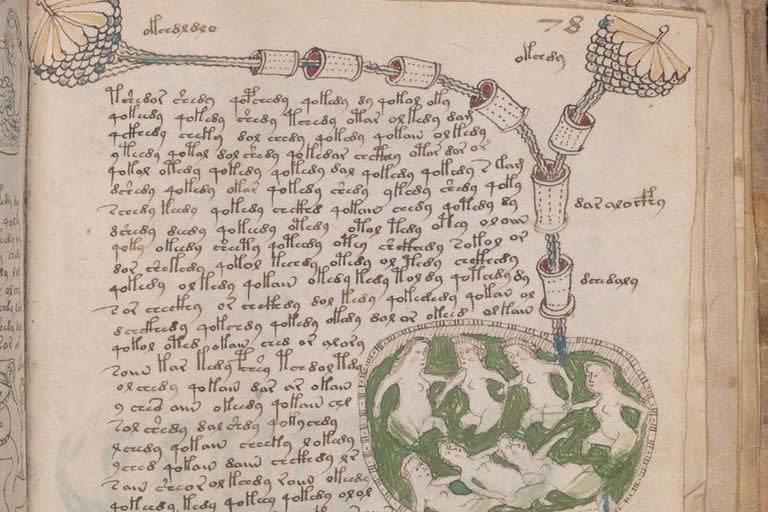 Una de las seis secciones en las que se divide el manuscrito Voynich está ilustrada con mujeres desnudas que nadan en vasijas o en ojos de agua de color verde