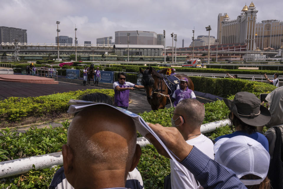 Visitors watch horses in parade ring at the Macao Jockey Club in Macao, Saturday, March 30, 2024. After more than 40 years, Macao’s horse racing track hosted its final races on Saturday, bringing an end to the sport in the city famous for its massive casinos. (AP Photo/Louise Delmotte)