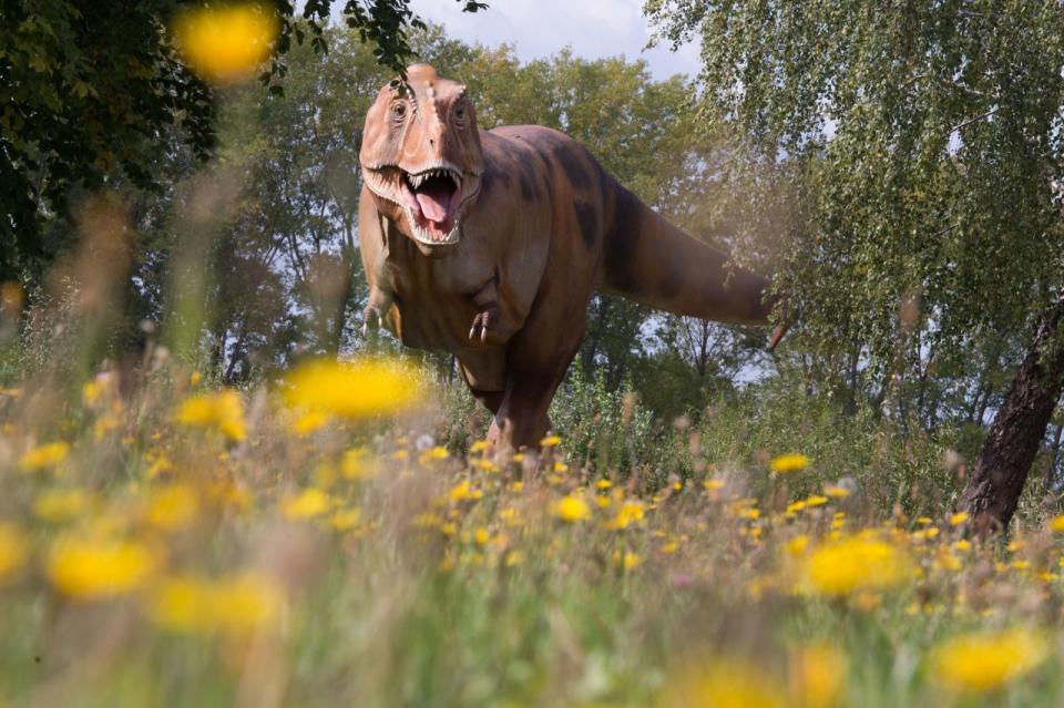 Dinosaurier verfolgen 19-Jährigen