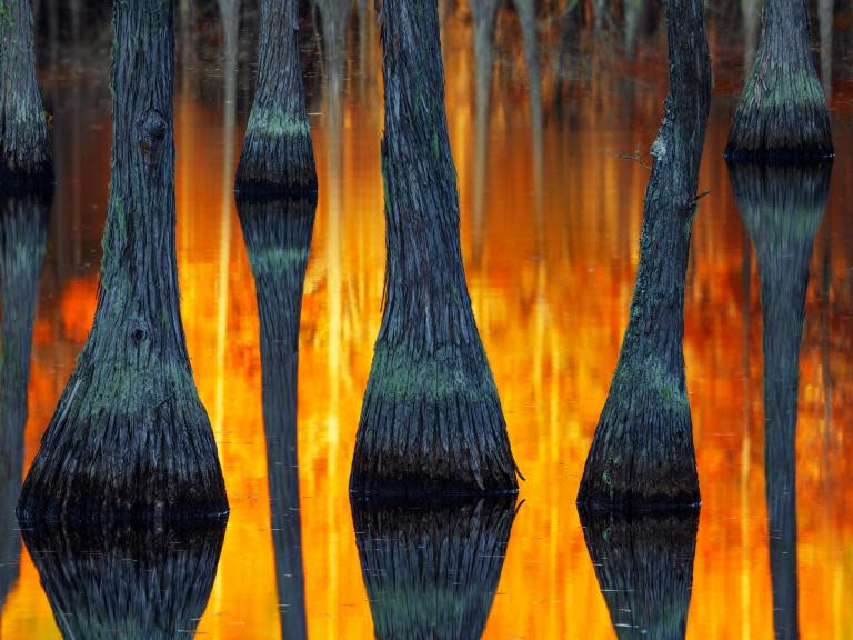 The most incredible pictures of Earth: International Landscape Photographer of the Year