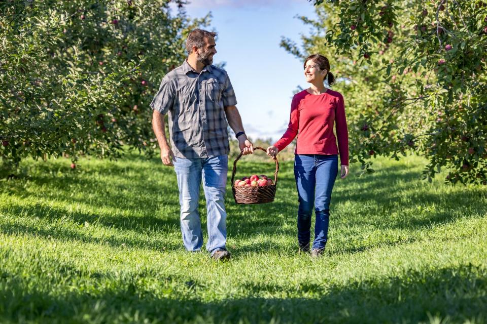 <p>Apple picking is one of the cutest couples activities you could do in the fall. A standout place to go is Rhode Island's <a href="https://www.pippinorchard.com/" rel="nofollow noopener" target="_blank" data-ylk="slk:Pippin Orchard" class="link ">Pippin Orchard</a>. With so many things to taste, like maple nut caramels and farm fresh eggs, you won't leave empty-handed. Bonus tip: While you're there, check out the Donut Robot, an automatic machine that puts on a fun apple donut-making show for guests. Less than 20 minutes away is <a href="https://providence-lodging.com/" rel="nofollow noopener" target="_blank" data-ylk="slk:Edgewood Manor" class="link ">Edgewood Manor</a>, a quaint bed and breakfast that will put the nicest touch on your country getaway.</p><p><a class="link " href="https://go.redirectingat.com?id=74968X1596630&url=https%3A%2F%2Fwww.tripadvisor.com%2FTourism-g54070-Cranston_Rhode_Island-Vacations.html&sref=https%3A%2F%2Fwww.countryliving.com%2Flife%2Ftravel%2Fg42473731%2Fromantic-getaways-in-new-england%2F" rel="nofollow noopener" target="_blank" data-ylk="slk:Shop Now">Shop Now</a></p>