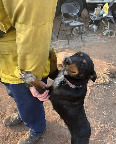 <p>Sisters-Camp Sherman Fire District</p> The Sisters-Camp Sherman Fire District in Oregon rescues dog.