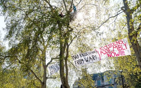 Banners unveiled on trees overlooking Westminster - Credit: &nbsp;Niklas Halle'n / AFP