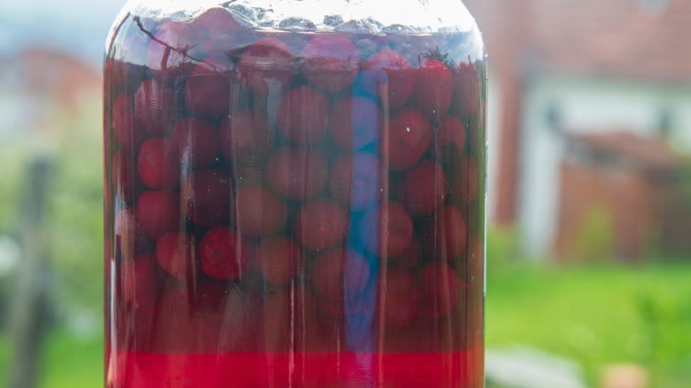 Cherries infusing in whiskey jar