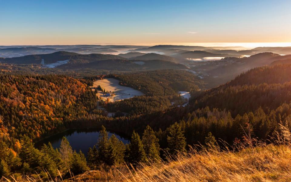 Feldsee lake seen from Feldberg mountain 