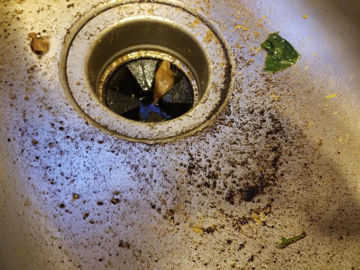 Close-up of a dirty, messy stainless steel surface in a domestic kitchen sink with coffee grounds, suggesting doing dishes or cleaning up after brewing coffee or cooking, June 28, 2019