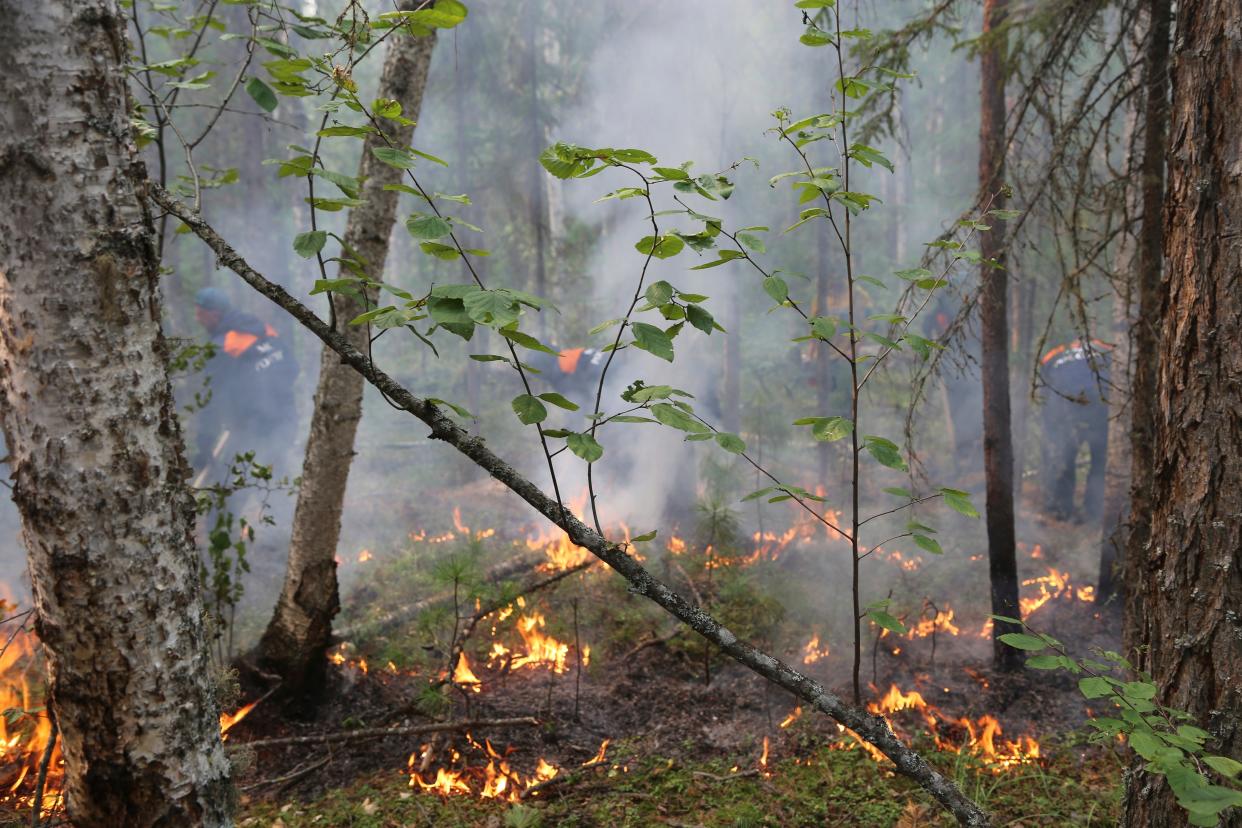 In this photo provided by Ministry of Emergency Situations of Krasnoyarsk Region on Saturday, Aug. 3, 2019, a fire in a forest in Krasnoyarsk Region, Eastern Russia. The head of Russia's meteorological service says he sees global climate change as a factor behind the wildfires blazing throughout Siberia and the country's Far East. (Ministry of Emergency Situations of Krasnoyarsk Region via AP)