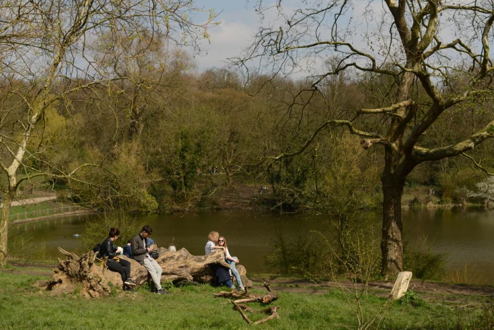 Swift had reportedly been house hunting in the vicinity of Hampstead Heath (Daniel Lynch)