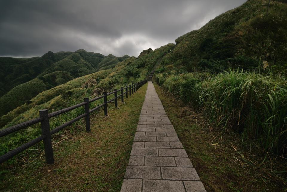 金瓜石地質公園秋冬季時期可見滿山遍布芒草（圖片來源：Getty Creative）