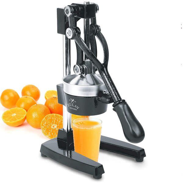 4) Kitchen Professional Citrus Juicer
