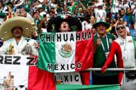 Soccer Football - World Cup - Group F - South Korea vs Mexico - Rostov Arena, Rostov-on-Don, Russia - June 23, 2018 Mexico fans inside the stadium before the match REUTERS/Damir Sagolj