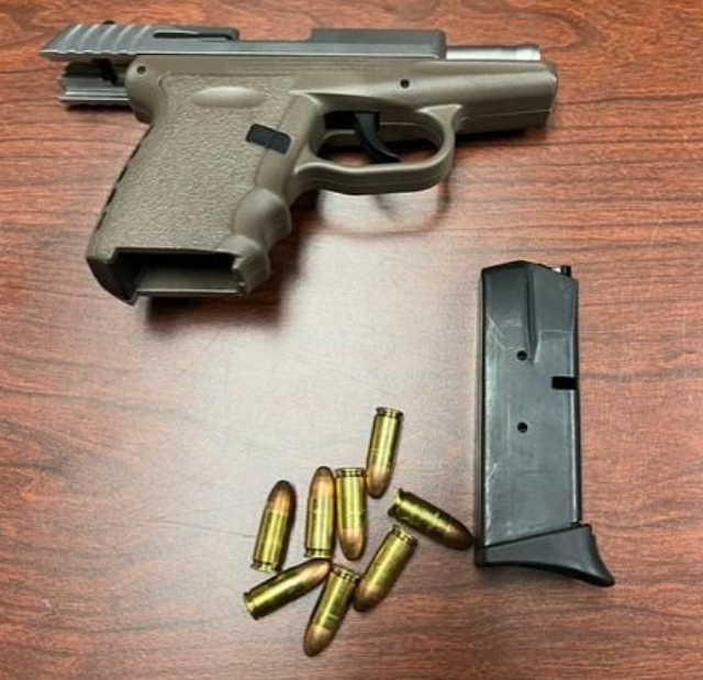 Customs agents found a gun in a cruise ship passenger's handbag at the Port of Palm Beach in December.