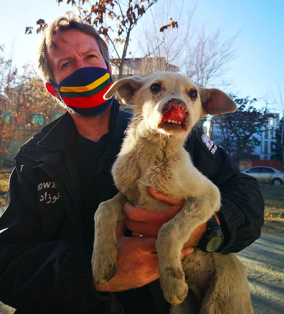 Pen Farthing founded the Nowzad shelter in Kabul after serving with the British Army in Afghanistan in the mid-2000s. (PA)