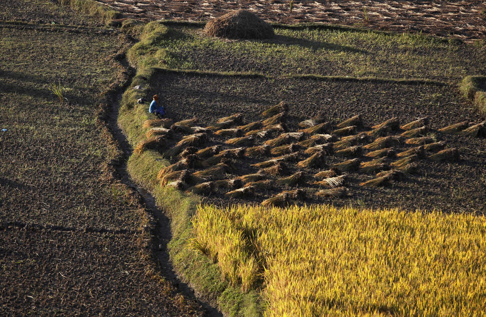 Farming in Kathmandu