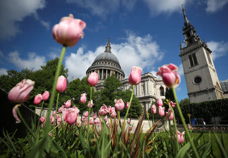 Flowers bloom in front of St Paul's Cathedral in central London, Britain, May 10, 2018. REUTERS/Hannah McKay