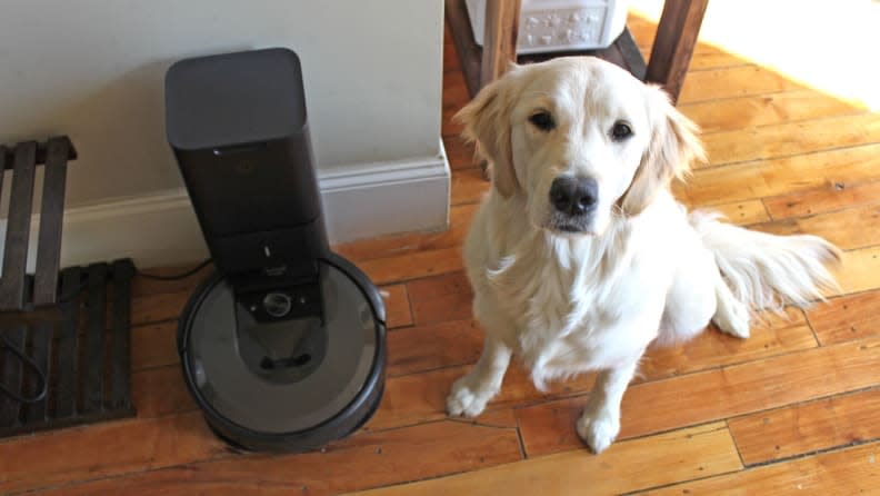 If you don't already have a robot vacuum, it's a must-have for pet owners.