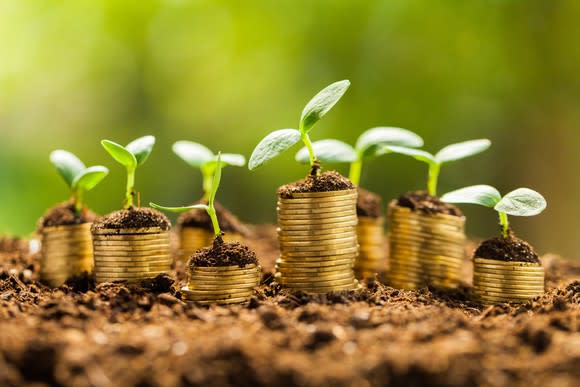 Coins with small plant on them.