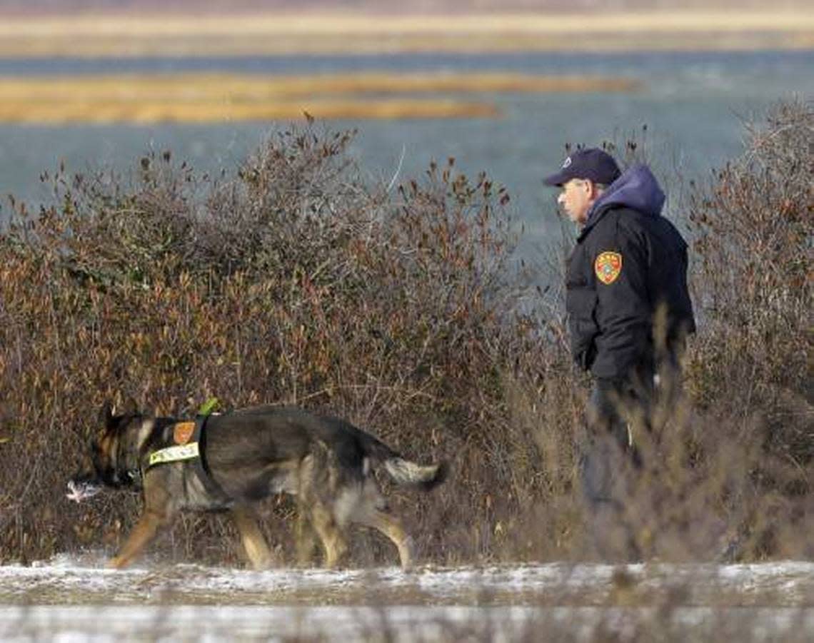 Authorities search in the brush by the side of the road at Cedar Beach, near Babylon, N.Y., Tuesday, Dec. 14, 2010. Police looking for a missing sex worker on Long Island’s Fire Island discovered three bodies and a set of skeletal remains near Oak Beach.