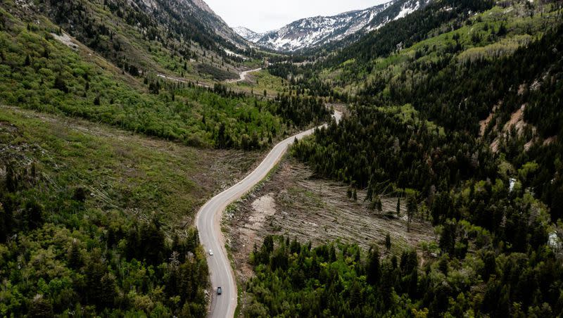 A road snakes through Little Cottonwood Canyon in Salt Lake County on June 1. A canyoneer died over the weekend in the canyon during a rappelling accident. 