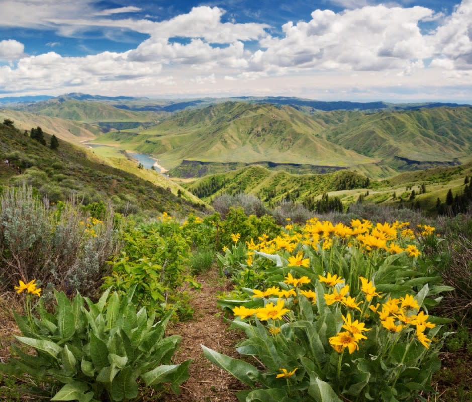 How many cities have this in their backyard? Boise's numerous hiking trails include this neighboring stretch along the Arrowrock Reservoir. <p>Anna Gorin/Getty Images</p>