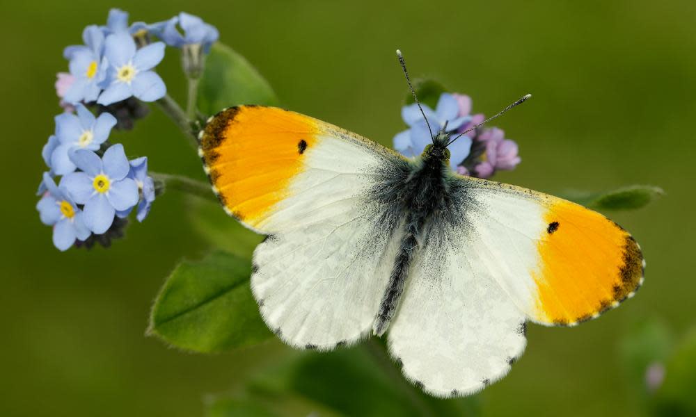 <span>Photograph: Iain H Leach/PA</span>