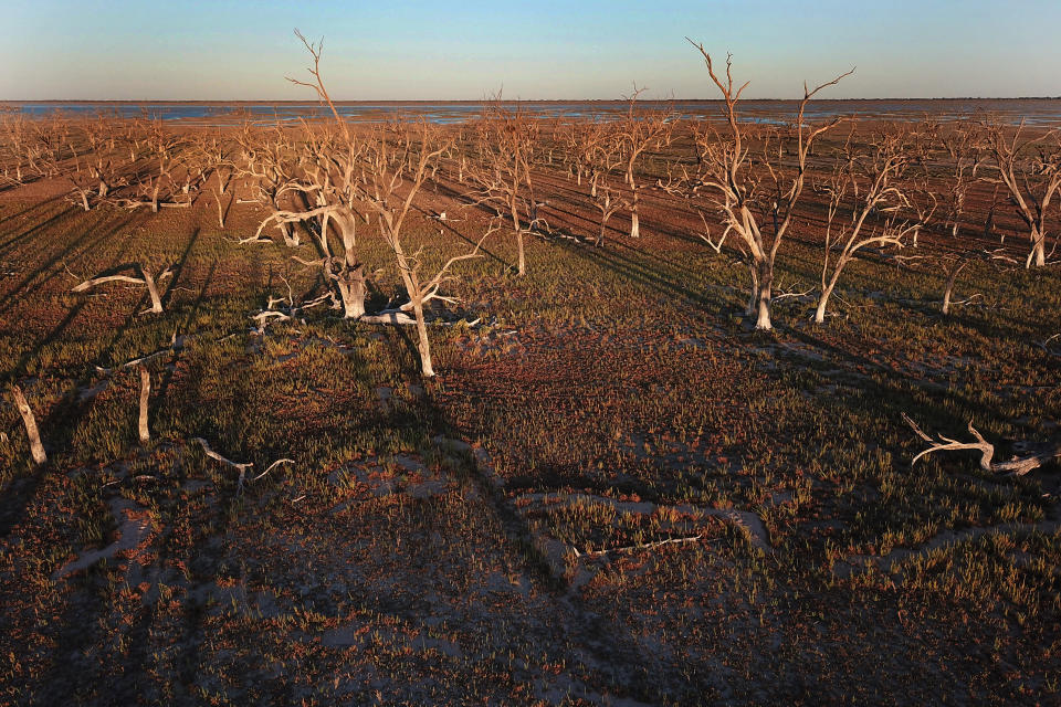 The receding waters of Lake Pamamaroo which makes up part of the Menindee Lakes system near the township of Menindee.