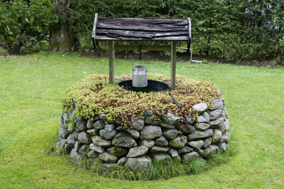 A stone well with a wooden roof and a metal bucket inside, surrounded by green grass and plants