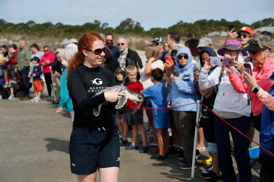 Carolyn Murphy, senior aquarist for the Georgia Aquarium, shows a Kemp's Ridley sea turtle to the crowd before releasing it into the ocean on Monday on Jekyll Island.